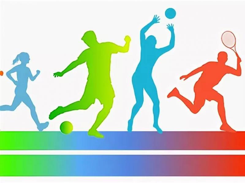 Культура и спорт